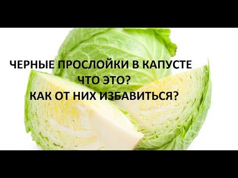 Черные прослойки в капусте.