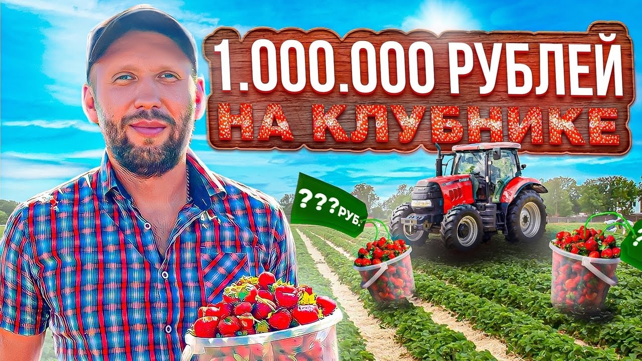 Сколько можно заработать на клубнике? / Бизнес с нуля на клубнике