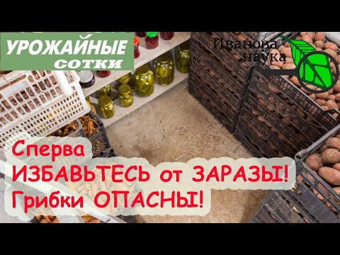 ГРИБКИ ОПАСНЫ! СДЕЛАЙТЕ ЭТО в ПЕРВУЮ ОЧЕРЕДЬ, чтобы овощи и фрукты сохранились!