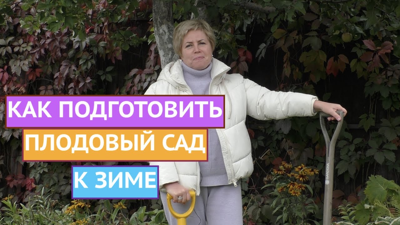 КАК ПРАВИЛЬНО ПОДКАРМЛИВАТЬ ПЛОДОВЫЕ ДЕРЕВЬЯ