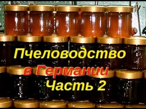 Пчеловодство в Германии часть 2