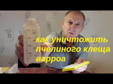 Как обработать пчёл против клеща варроа