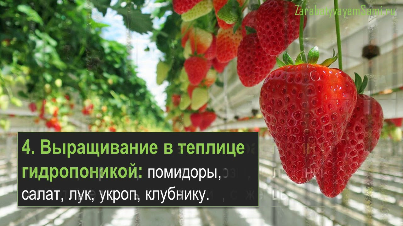 Как заработать на выращивании зерновых свыше 6 миллионов рублей и прогореть?