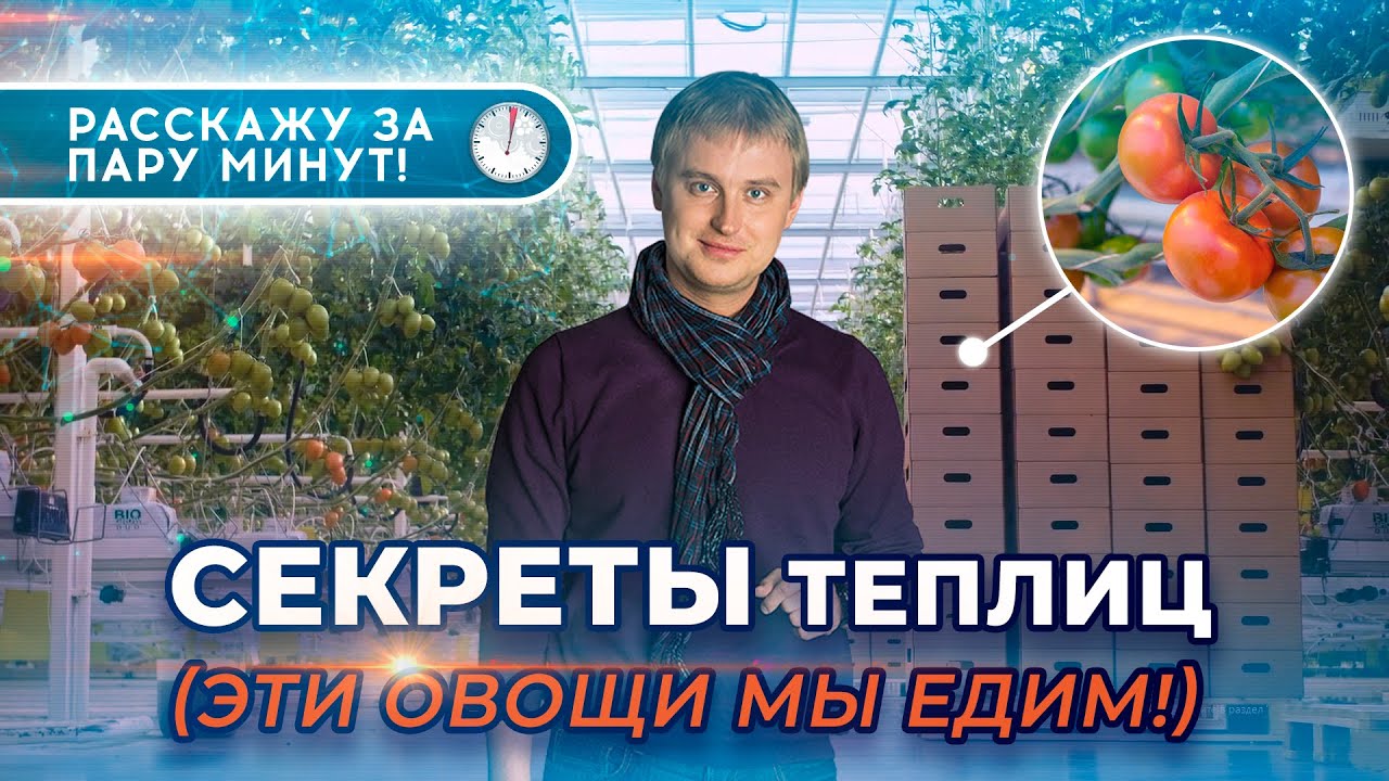 СЕКРЕТЫ теплиц ? || Эти овощи мы едим!