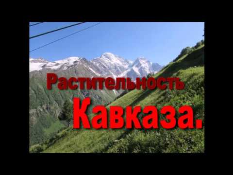 Растения Кавказа.